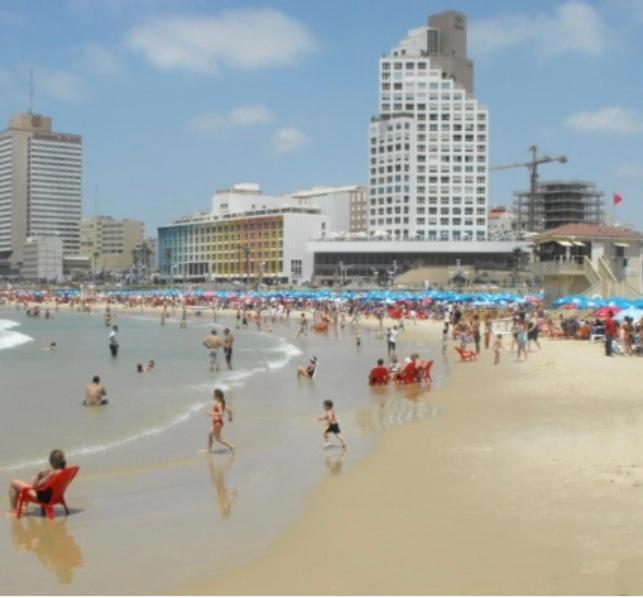 סוויטה חדשה על חוף בוגרשוב המבוקש Apartment Tel Aviv